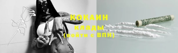 первитин Новодвинск