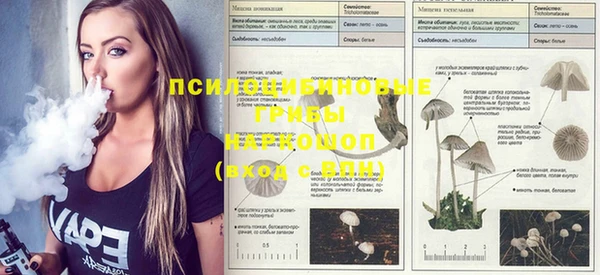первитин Новодвинск